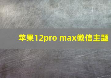 苹果12pro max微信主题